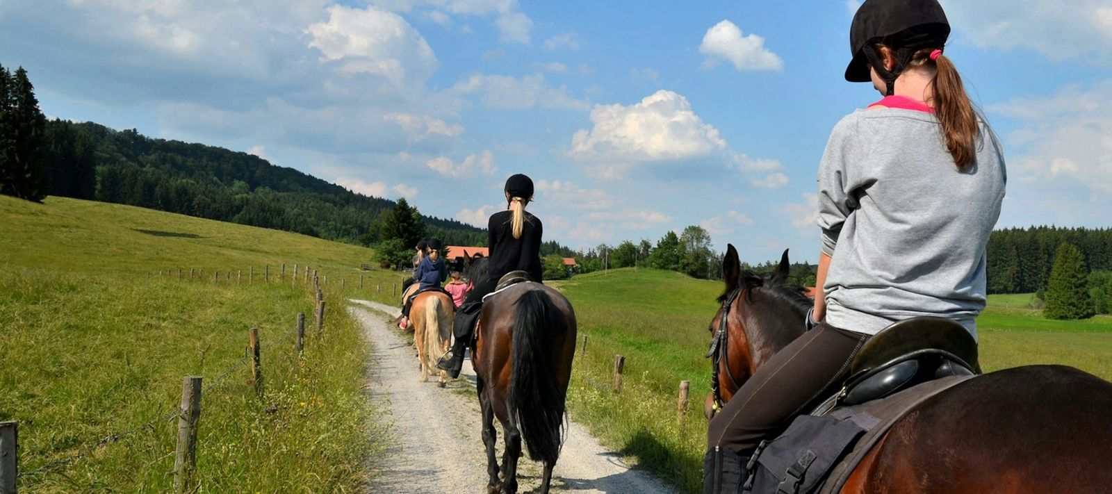 Eine Gruppe von Reitern folgt einem Schotterweg durch ein grünes Feld unter einem blauen Himmel.