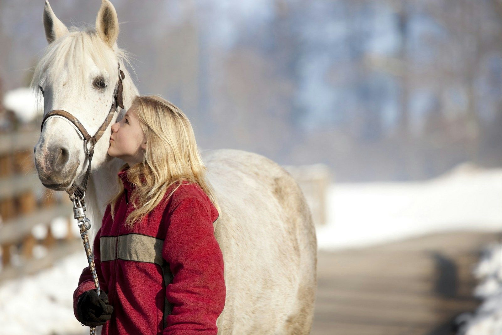 Eine junge Frau küsst ein weißes Pferd in einer schneebedeckten Umgebung.