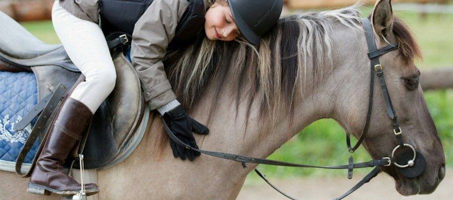 Ein Kind in Reitkleidung umarmt ein graues Pferd in einem somerlichen, grasbewachsenen Bereich.