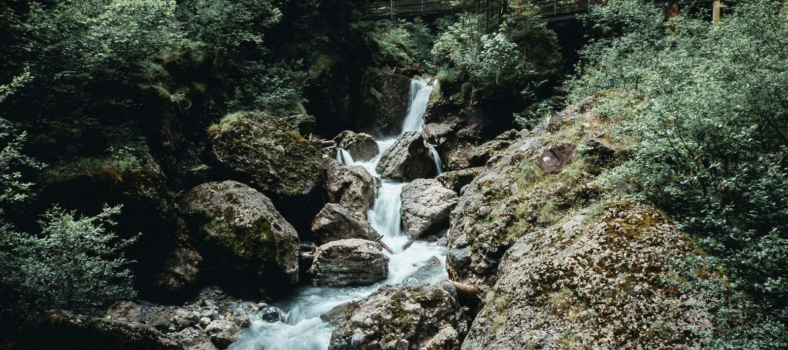 Ein ruhiger Fluss fließt über felsigem Gelände, umgeben von üppigen grünen Bäumen.